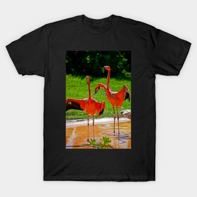Flamingos welcome visitors of Xcaret T-Shirt by vadim19